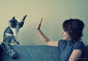 Cat High-five 2