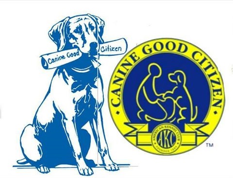 Canine Good Citizen Class in Portland, Pavlov Dog Training